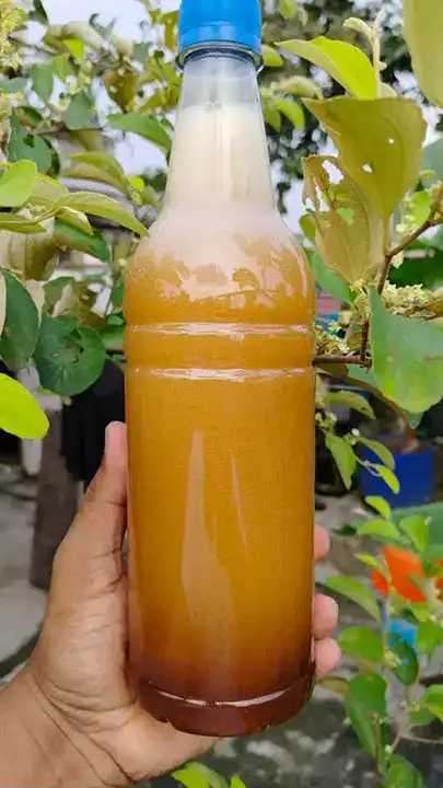 বরই ফুলের মধু - 1kg