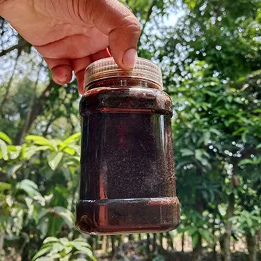 স্পেশাল হালুয়া শাবাব